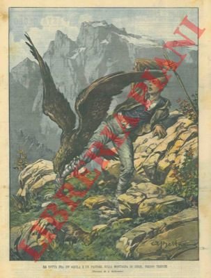 Lotta tra aquila e pastore sulla montagna di Zerie presso …