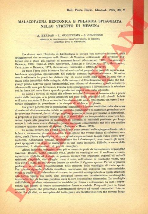 Malacofauna bentonica e pelagica spiaggiata nello Stretto di Messina.