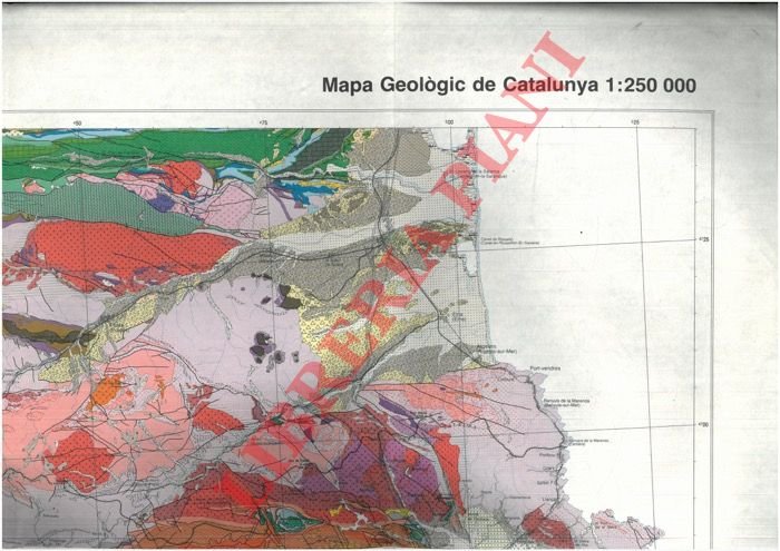 Mapa Geològic de Catalunya.