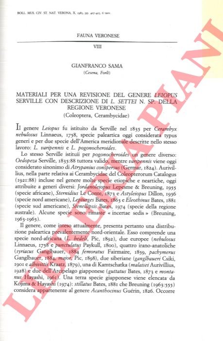 Materiali per una revisione del genere Leiopus Serville con descrizione … | Immagine Gallery 3