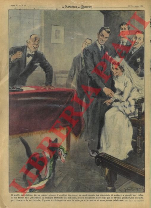 Matrimonio rischiava di andare a monte a causa di un …