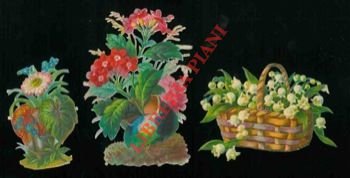 Mazzi di fiori.