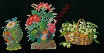 Mazzi di fiori.