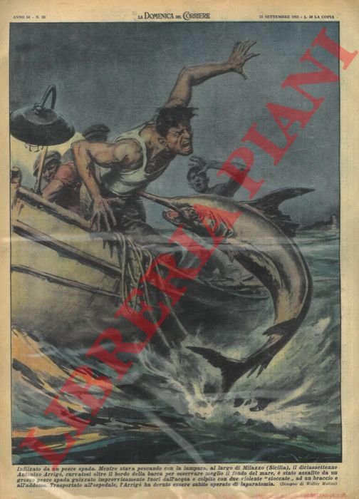 Mentre pescava con la lampara, al largo di Milazzo, giovane …