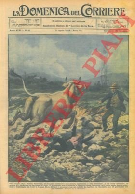 Mentre un ragazzo di 14 anni conduceva una mucca assicurata …