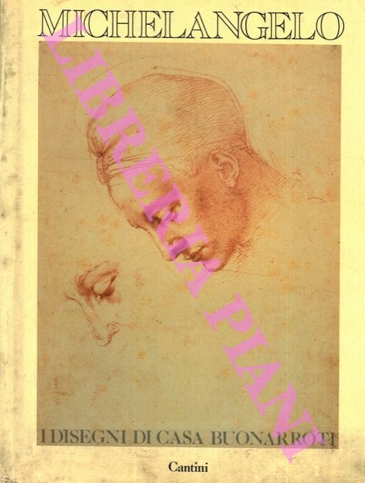 Michelangelo. I disegni di casa Buonarroti.