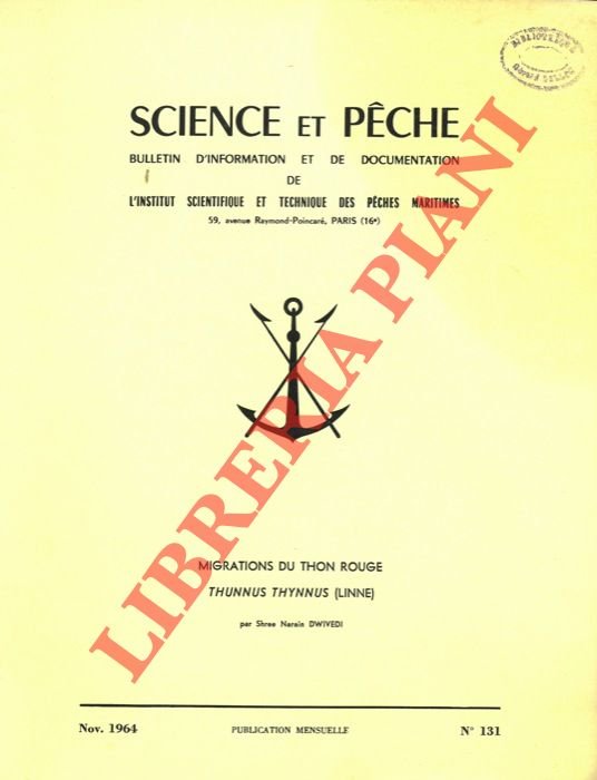 Migration du Thon rouge (Thunnus thunnus (Linnè).