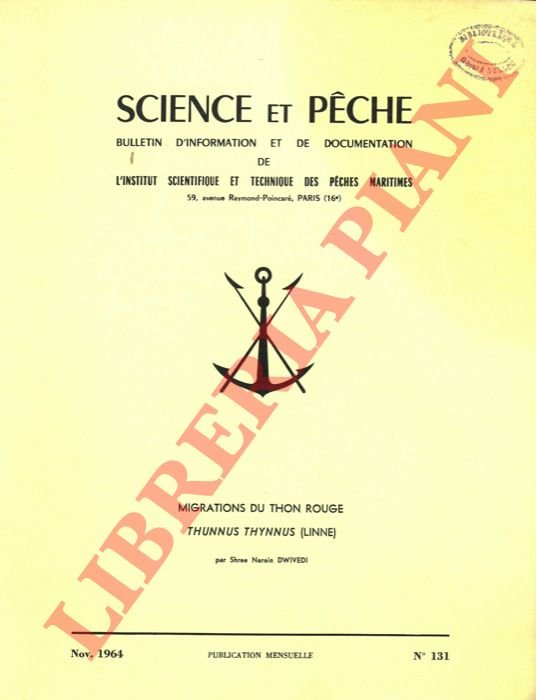 Migration du Thon rouge (Thunnus thunnus (Linnè).