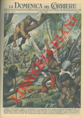 Militari calatisi in paracadute per un sopraluogo nella foresta brasiliana …