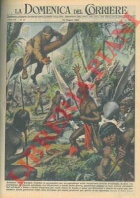 Militari calatisi in paracadute per un sopraluogo nella foresta brasiliana …