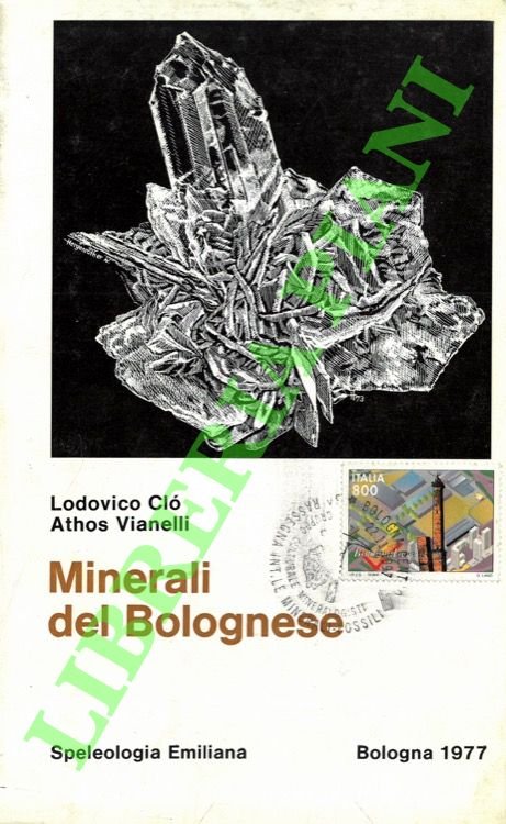 Minerali del bolognese.