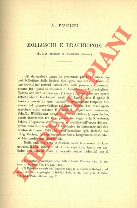 Molluschi e brachipodi del Lias Inferiore di Longobucco (Cosenza).