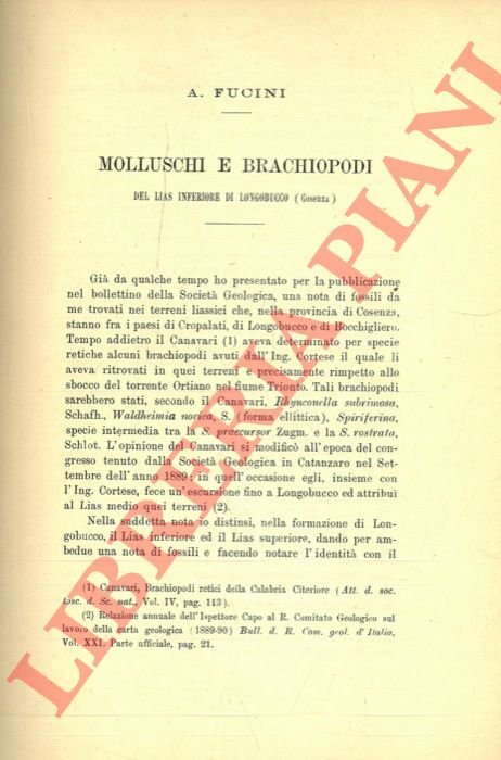 Molluschi e brachipodi del Lias Inferiore di Longobucco (Cosenza).