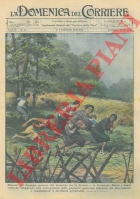 Momenti del dramma europeo alle frontiere tra la Polonia e …