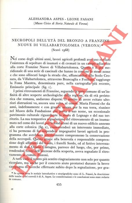 Necropoli dell'età del Bronzo a Franzine Nuove di Villabartolomea (Verona) …