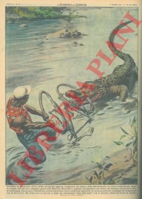 Negro riesce ad avere la meglio contro un coccodrillo che …