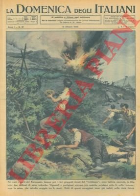 Nei vasti vigneti del ravennate sono nascoste, in fitta rete, …