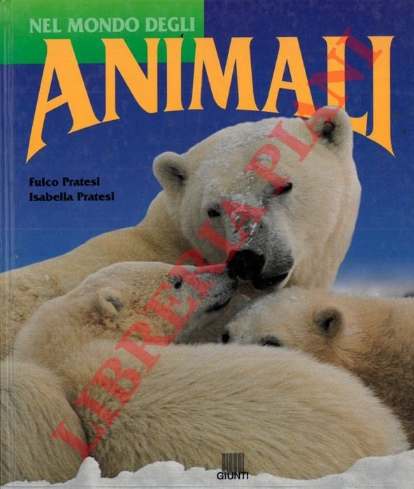 Nel mondo degli animali.