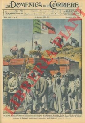 Nel territorio di Oletta é stato festosamente trebbiato il primo …