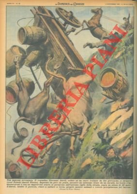 Nell'ascolano un cavallo che tira un calessino e giovenche che …