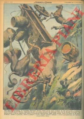 Nell'ascolano un cavallo che tira un calessino e giovenche che …