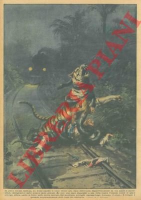 Nella foresta indiana un uomo aspetta il treno vicino alla …