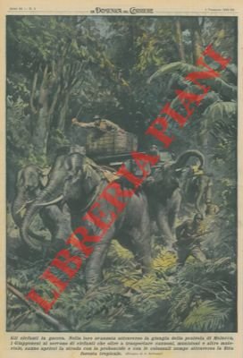 Nella loro avanzata attraverso la giungla della penisola di Malacca, …