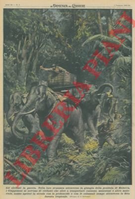 Nella loro avanzata attraverso la giungla della penisola di Malacca, …