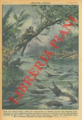 Nella loro marcia lungo i fiumi che attraversano le immense …