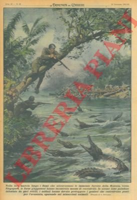 Nella loro marcia lungo i fiumi che attraversano le immense …