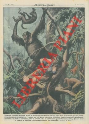 Nelle foreste dell'Alto Niger una signorina inglese è stata rapita …