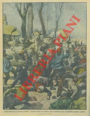 Nelle lande francesi centinaia di buoi presi dal panico travolsero …