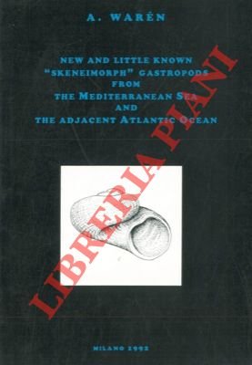 New and little known "Skeneimorph" gastropods from the Mediterranean Sea …