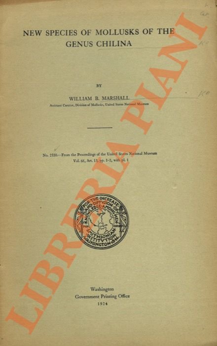 New species of mollusks of the genus Chilina.