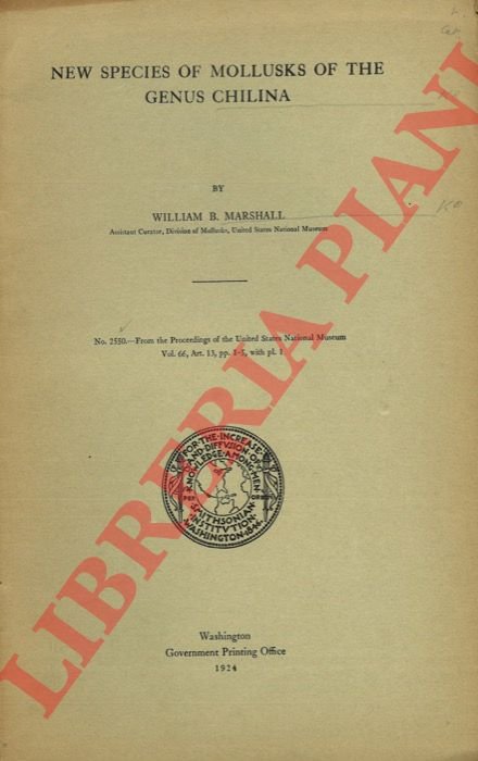 New species of mollusks of the genus Chilina.