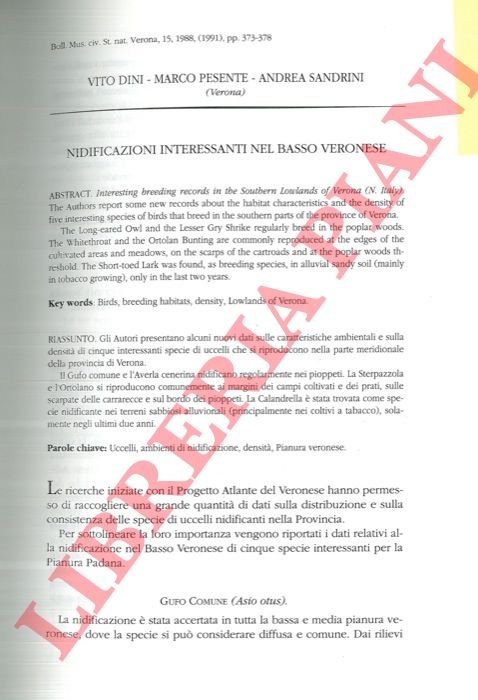 Nidificazioni interessanti nel Basso Veronese. | Immagine Gallery 3