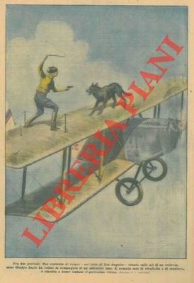 Non contenta di volare nel cielo di Los Angeles, stando …