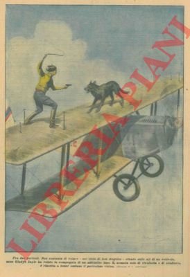 Non contenta di volare nel cielo di Los Angeles, stando …