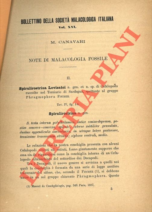 Note di malacologia fossile. II.
