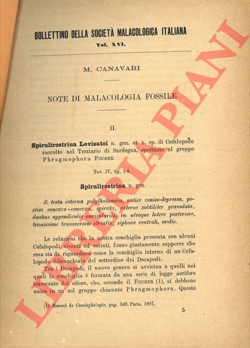 Note di malacologia fossile. II.