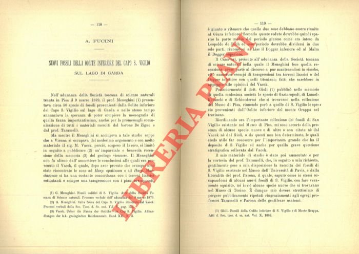Nuovi fossili della Oolite inferiore del Capo S. Vigilio sul …