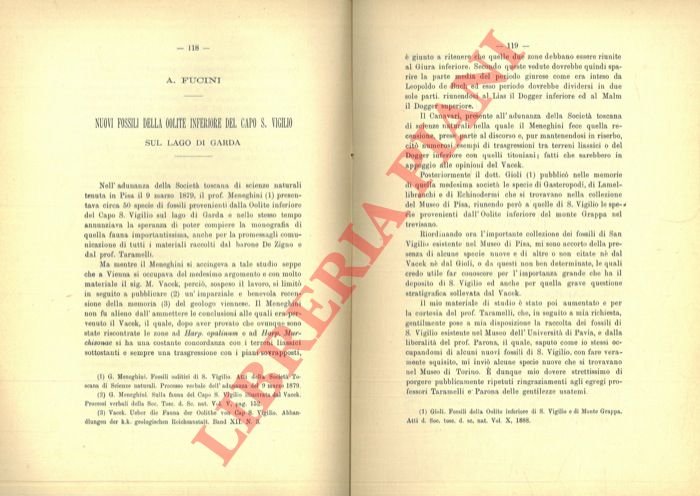 Nuovi fossili della Oolite inferiore del Capo S. Vigilio sul …