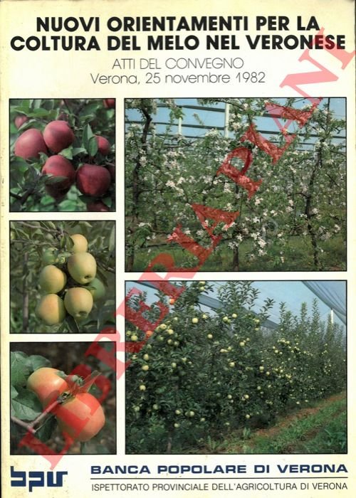 Nuovi orientamenti per la coltura del melo nel Veronese. | Immagine Gallery 3