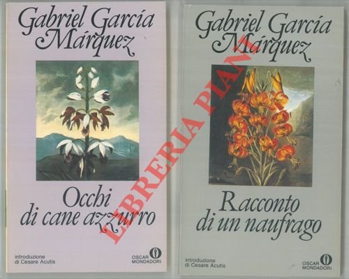 Occhi di cane azzurro. Racconto di un naufrago