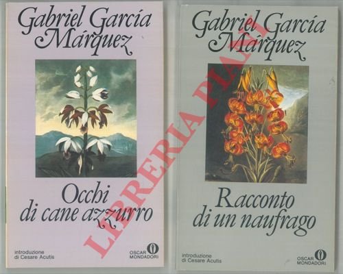 Occhi di cane azzurro. Racconto di un naufrago