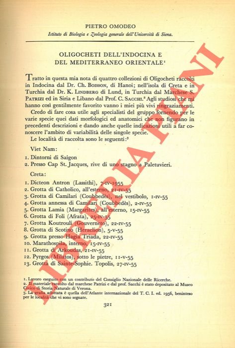Oligocheti dell'Indocina e del Mediterraneo orientale.