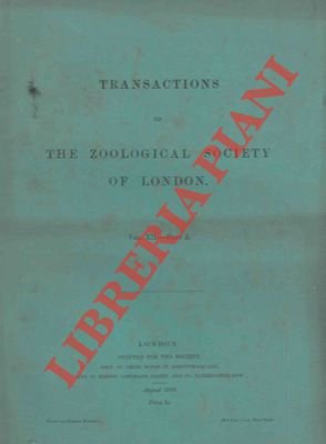 On the anatomy and systematic position of a gigantic earthworm … | Immagine Gallery 2