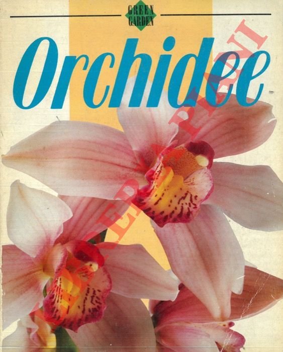 Orchidee. | Immagine Gallery 3