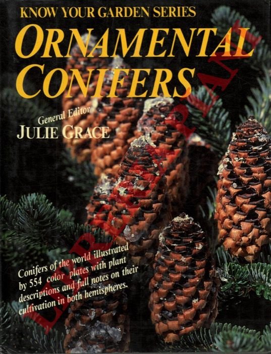 Ornamental Conifers.