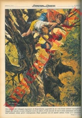 Orso aggredisce tre bambini, in Jugoslavia.